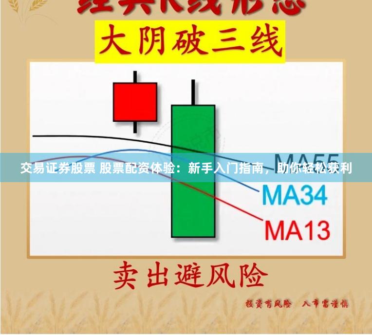 交易证券股票 股票配资体验：新手入门指南，助你轻松获利