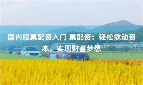 国内股票配资入门 票配资：轻松撬动资本，实现财富梦想