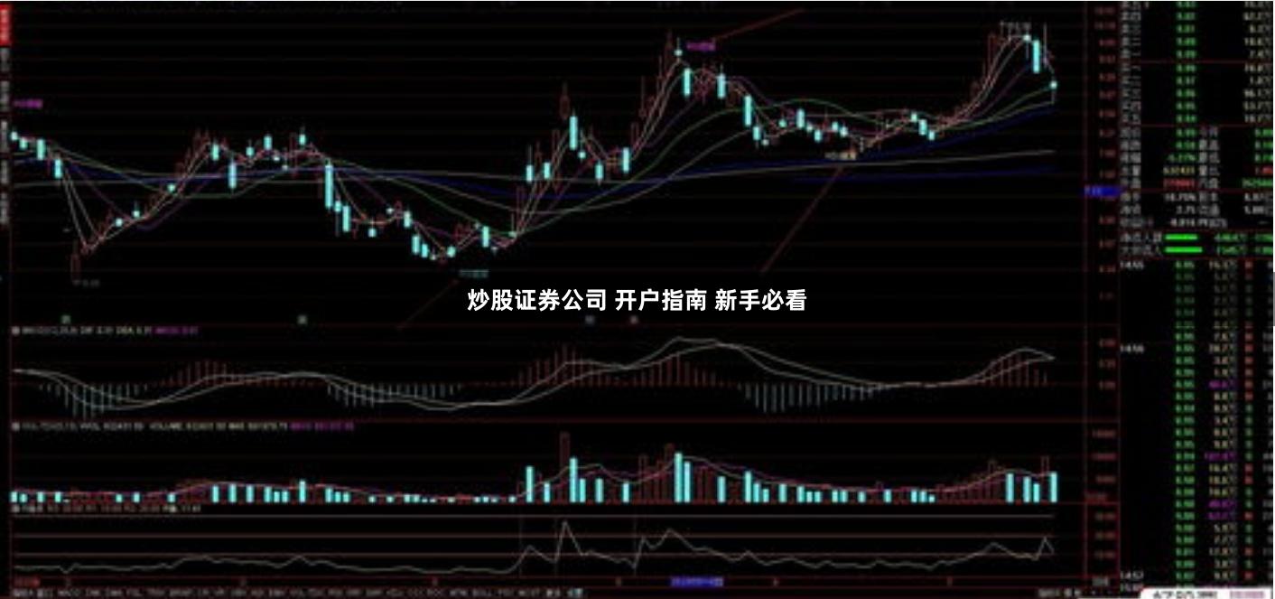 炒股证券公司 开户指南 新手必看
