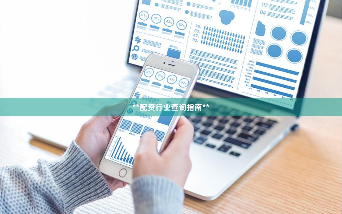 **配资行业查询指南**